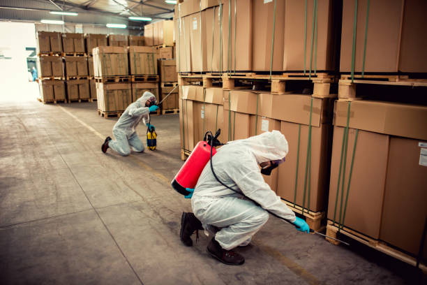 Best Cockroach Control Services  in Chester Heights, PA