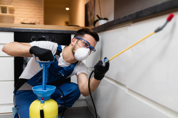 Best Affordable Pest Control Services  in Chester Heights, PA