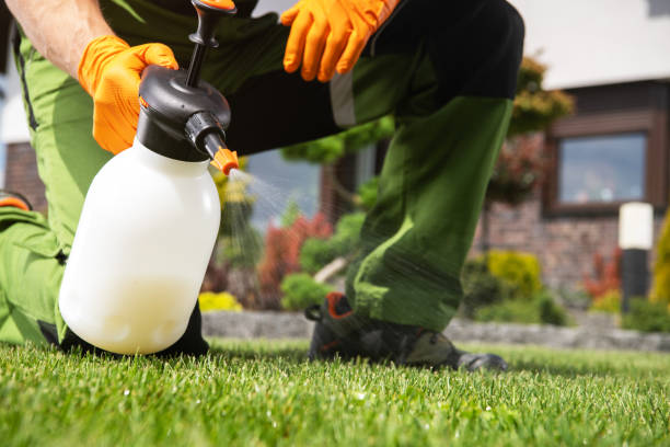 Best Local Pest Control Services  in Chester Heights, PA