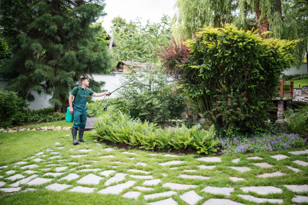 Best Pest Prevention Services  in Chester Heights, PA