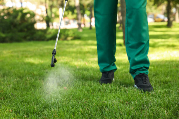 Best Wasp Removal Services  in Chester Heights, PA