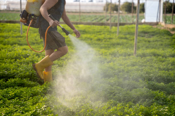 Pest Control Cost in Chester Heights, PA