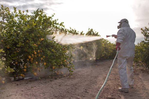 Best Pest Control Near Me  in Chester Heights, PA