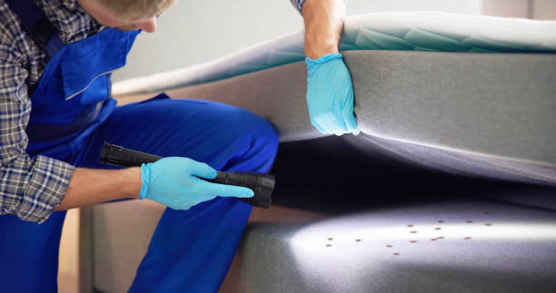 Best Ant Control Services  in Chester Heights, PA