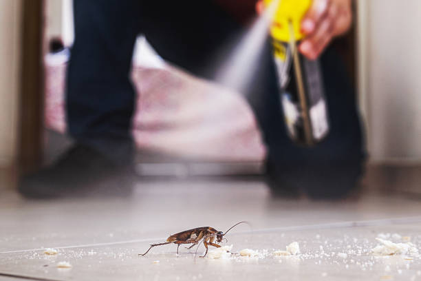 Best Local Pest Control Services  in Chester Heights, PA