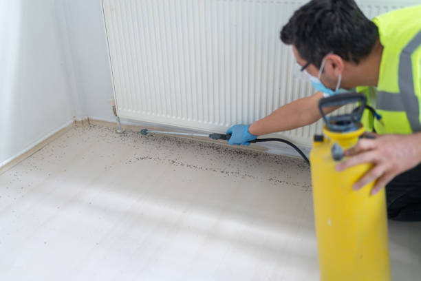 Best Commercial Pest Control Services  in Chester Heights, PA