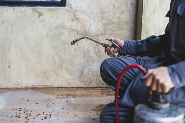 Best Pest Control for Restaurants  in Chester Heights, PA